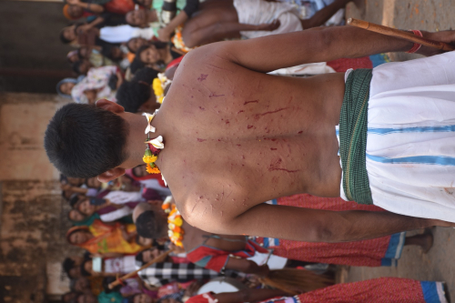 मावली माता मेला नारायणपुर 2025