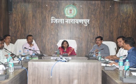 राजस्व अधिकारी नामांतरण सीमांकन और भू-अर्जन के प्रकरणों को शीघ्र निराकरण कराना सुनिश्चित करें - कलेक्टर