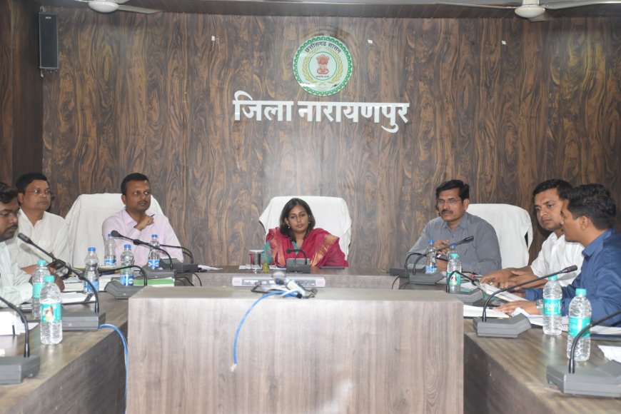 राजस्व अधिकारी नामांतरण सीमांकन और भू-अर्जन के प्रकरणों को शीघ्र निराकरण कराना सुनिश्चित करें - कलेक्टर