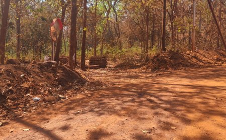 छोटेडोंगर थाना क्षेत्र के अमदईघाटी डम्प एरिया में नक्सलियों द्वारा लगाये गये प्रेसर आईईडी ब्लास्ट के चपेट में आने से दिलीप कुमार एवं हरेन्द्र नाग हुए गंभीर रूप से घायल हुए।
