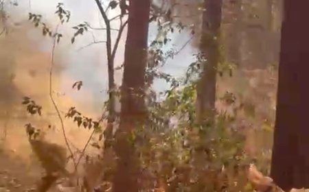 नारायणपुर पुलिस को मिली बड़ी सफलता, अमदई खदान निकों कंपनी के डंप एरिया में 05 किग्रा से अधिक वजनी आईईडी बरामद