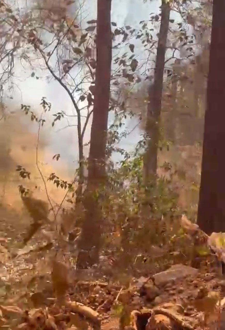 नारायणपुर पुलिस को मिली बड़ी सफलता, अमदई खदान निकों कंपनी के डंप एरिया में 05 किग्रा से अधिक वजनी आईईडी बरामद