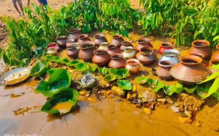 *बस्तर की लोक संस्कृति और इतिहास: एक अनोखा मिश्रण