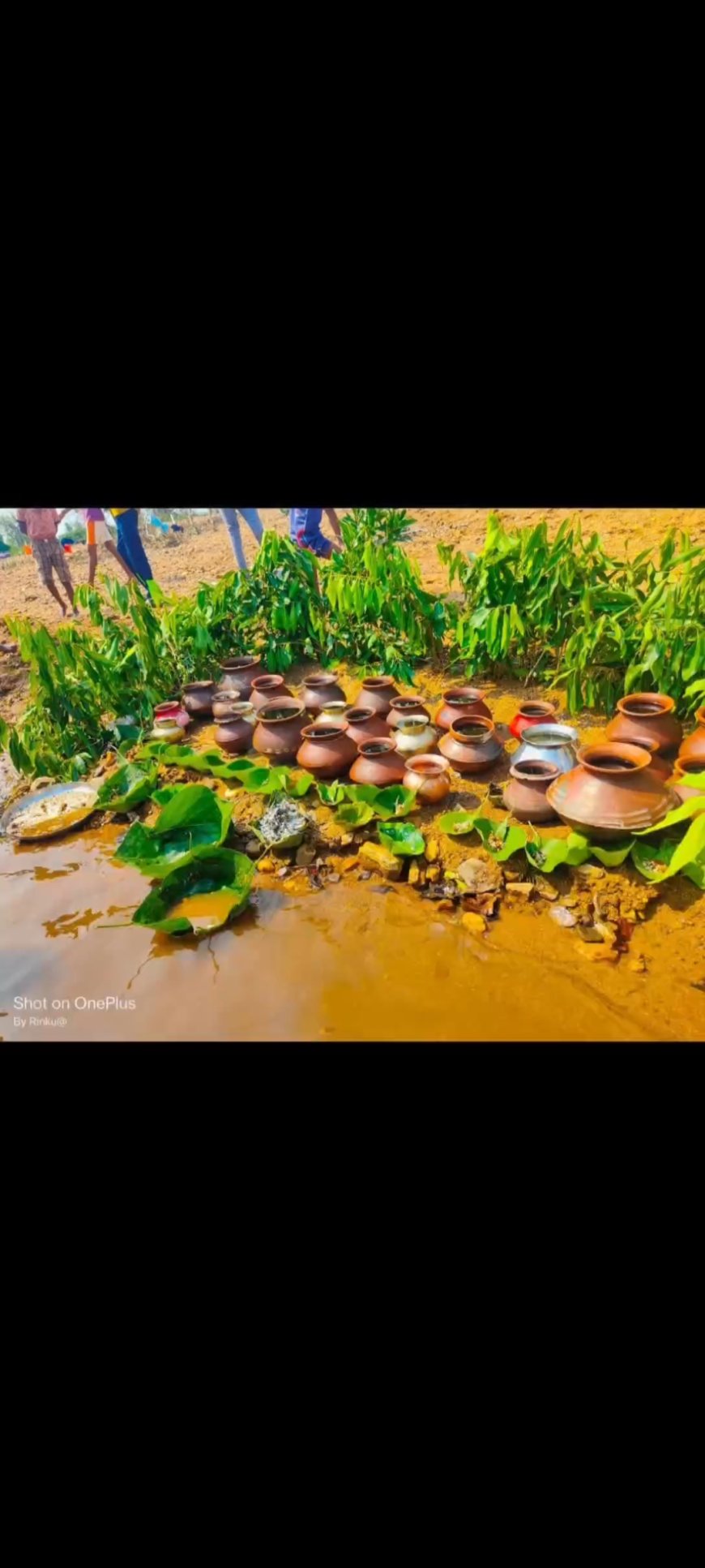 *बस्तर की लोक संस्कृति और इतिहास: एक अनोखा मिश्रण