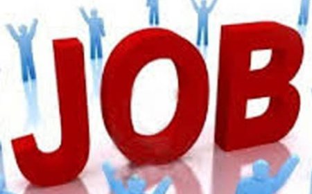 24 मार्च को प्लेसमेंट कैंप: 335 पदों पर होगी भर्ती