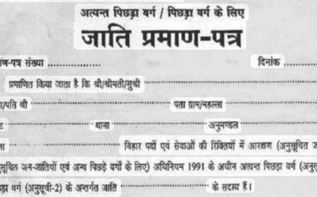 जाति उद्घोषणा के लिये विशेष ग्राम सभा का आयोजन 29 एवं 30 मई को