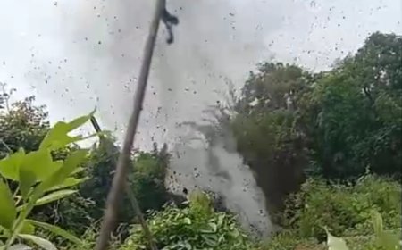 *नारायणपुर में सुरक्षा बलों की बड़ी सफलता, 10 आईईडी बरामद