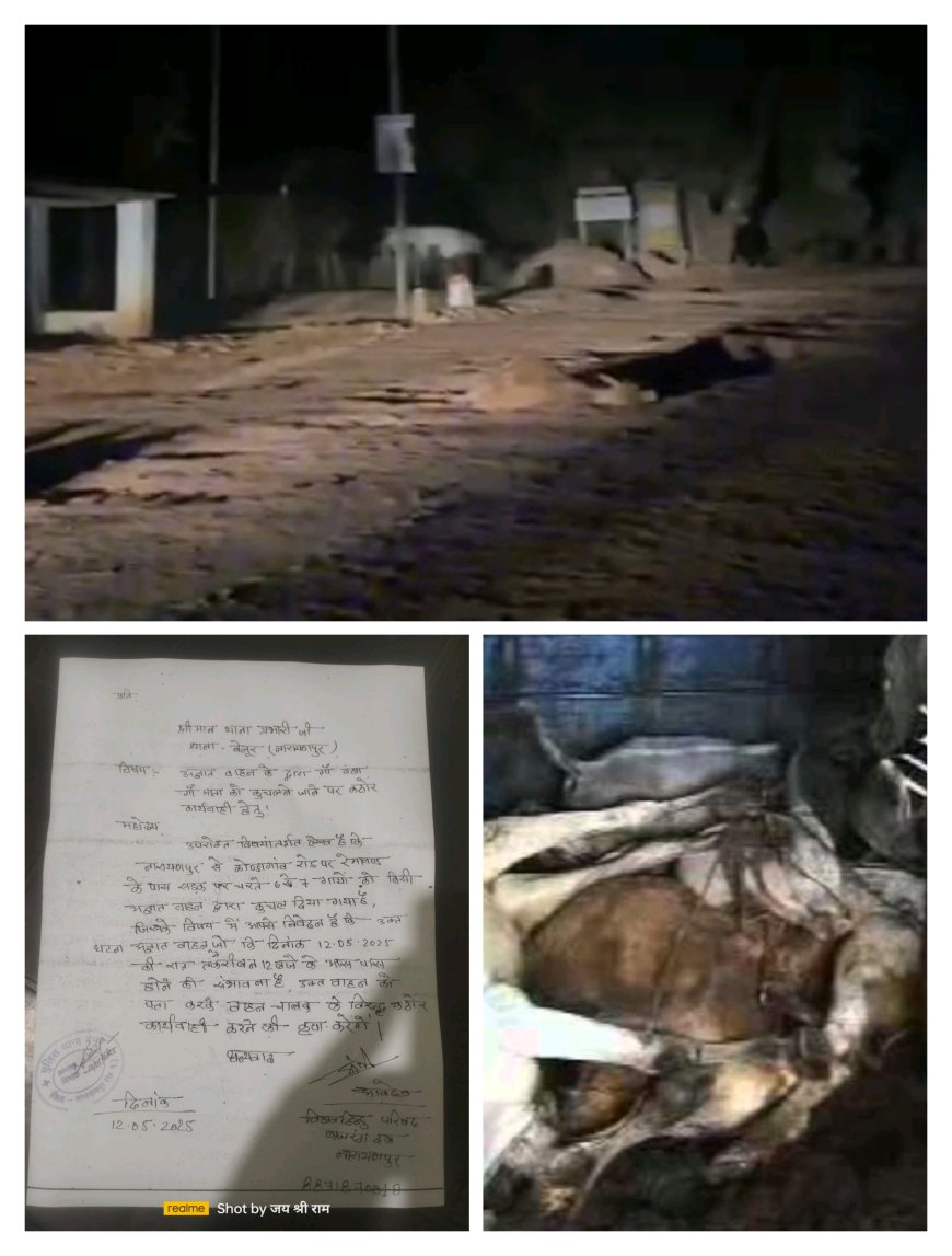 नारायणपुर में फिर से दिखा रफ्तार का कहर