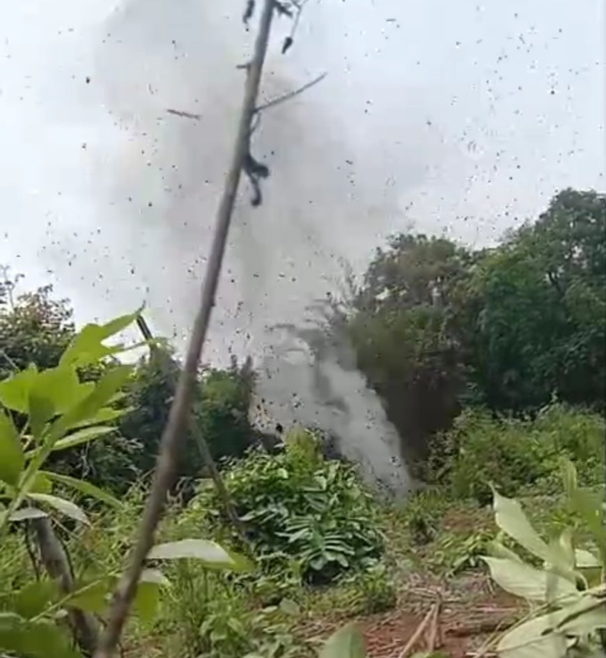 *नारायणपुर में सुरक्षा बलों की बड़ी सफलता, 10 आईईडी बरामद