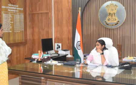 जनदर्शन में समस्या को लेकर ग्रामीणों की उमड़ी भीड़  कलेक्टर ने सुनी आमजनों की समस्या