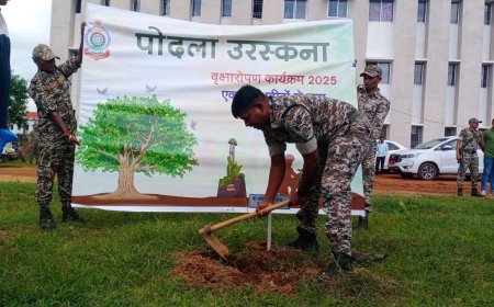 पोदला उरस्कना”* कार्यक्रम के अंतर्गत एसटीएफ हब, शांति नगर में 'एक पेड़ शहीदों के नाम' अंतर्गत किया गया वृक्षारोपण