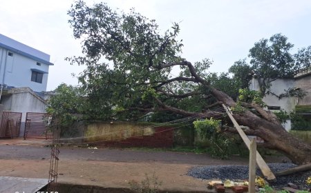 नारायणपुर में तूफान के बाद पार्षद ने चलाया राहत अभियान