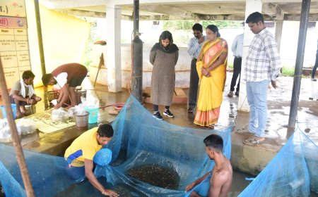 कलेक्टर ने किया मत्स्य बीज प्रक्षेत्र पेवेलियन काम्पलेक्स गिरदावरी कार्य और रेशम केन्द्र का औचक निरीक्षण