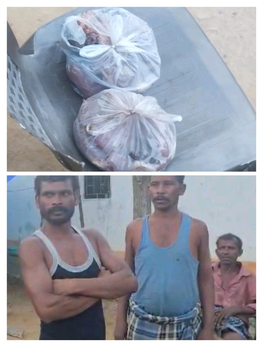 नारायणपुर में गौ रक्षक दल की बड़ी कार्रवाई, शांति नगर में गौ हत्या और मांस बिक्री के आरोप में तीन गिरफ्तार।