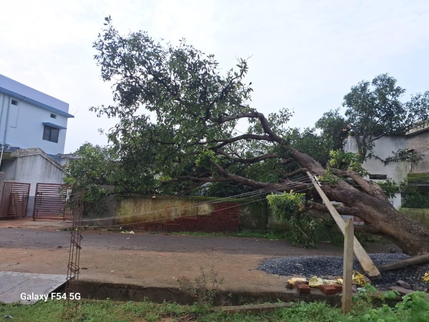 नारायणपुर में तूफान के बाद पार्षद ने चलाया राहत अभियान