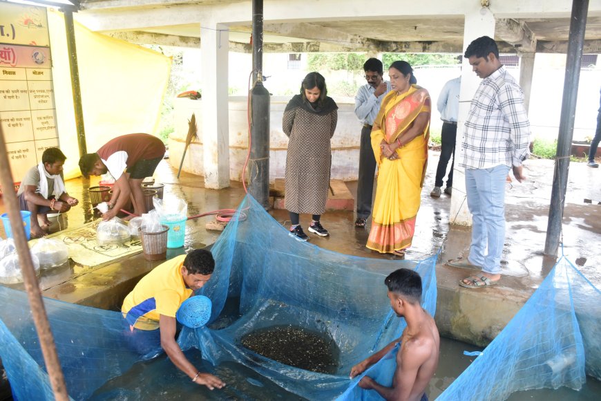 कलेक्टर ने किया मत्स्य बीज प्रक्षेत्र पेवेलियन काम्पलेक्स गिरदावरी कार्य और रेशम केन्द्र का औचक निरीक्षण