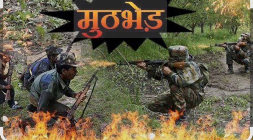 छत्तीसगढ़-महाराष्ट्र सीमा पर नक्सलियों से मुठभेड़, 4 नक्सली ढेर