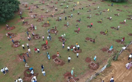 व्यक्तिमूलक फलदार वृक्षारोपण योजना से सुरेश चन्द्र की बदलती तस्वीर