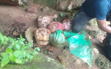 नक्सलियों के मंसूबे नाकाम: सुरक्षा बल को हानिंग के लिए लगाई थी 05 आईईडी, बीडीएस टीम किया निष्क्रिय