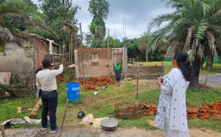 जिला पंचायत सीईओ ने किया निर्माणाधीन प्रधानमंत्री आवासों का निरीक्षण