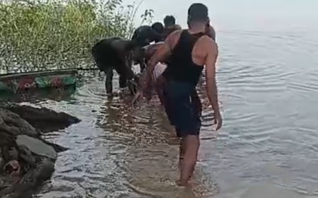 बिंजली डेम में दुर्घटनावश डूबने से एक व्यक्ति की मौत