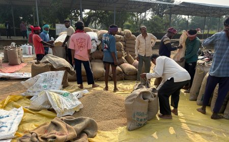 जिले में अब तक 06 हजार 32.80 क्विंटल हुई धान की खरीदी