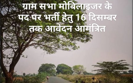 ग्राम सभा मोबिलाइजर के पद पर भर्ती हेतु 16 दिसम्बर तक आवेदन आमंत्रित