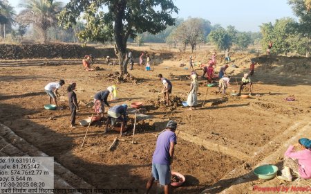 "मोर गांव मा पानी" अभियान के तहत जिले में 168 आजीविका डबरी स्वीकृत