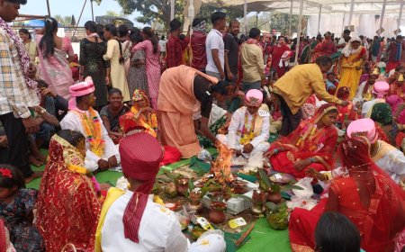 मुख्यमंत्री कन्या विवाह योजना से जिले के 166 जोड़े हुए लाभान्वित, जिला पंचायत व नगर पालिका अध्यक्ष ने नवदम्पतियों को दिया आशीर्वाद ।