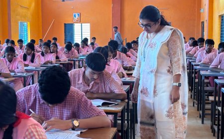 कलेक्टर ने बालक हायर सेकेंडरी स्कूल का निरीक्षण, साफ-सफाई और अनुशासन की प्रशंसा की