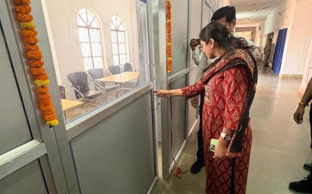 कलेक्टर ने जिला कोषालय में ई-चालान प्रक्रिया का शुभारंभ, ऑनलाइन माध्यम से जमा होंगे चालान