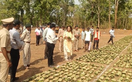 नक्सल क्षेत्र में विकास की रफ्तार तेज: ACS ऋचा शर्मा ने ईरकभट्टी, कुतुल व कच्चापाल का किया दौरा, स्कूल-स्वास्थ्य केंद्र-जल मिशन कार्यों का निरीक्षण