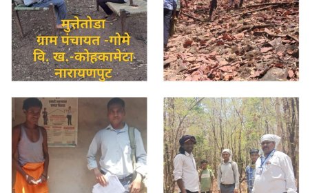 नारायणपुर में जनगणना शुरू: दुर्गम गांवों तक पहुंच कठिन, नदी-नाले पार कर रहे प्रगणक; अपर कलेक्टर ने कोंगाली, मुस्परसी, गोमे-मुत्तेतोड़ा में लिया जायजा