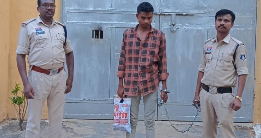 नारायणपुर पुलिस की त्वरित कार्रवाई: नाबालिग से दुष्कर्म के आरोपी प्रमोद मड़ावी को मुरियापारा से किया गिरफ्तार, पॉक्सो एक्ट व बीएनएस की धाराओं में भेजा न्यायालय