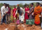 गुमियाबेड़ा में 4 हेक्टेयर आम क्लस्टर का शुभारंभ, कलेक्टर ने लगाया पौधा और ग्रामीणों को किया प्रेरित