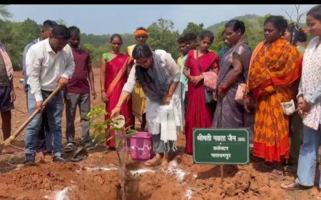 गुमियाबेड़ा में 4 हेक्टेयर आम क्लस्टर का शुभारंभ, कलेक्टर ने लगाया पौधा और ग्रामीणों को किया प्रेरित