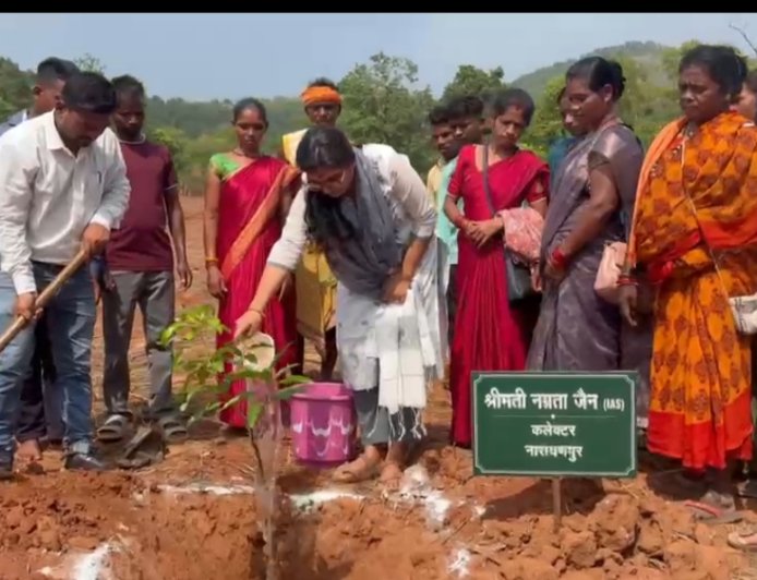 गुमियाबेड़ा में 4 हेक्टेयर आम क्लस्टर का शुभारंभ, कलेक्टर ने लगाया पौधा और ग्रामीणों को किया प्रेरित