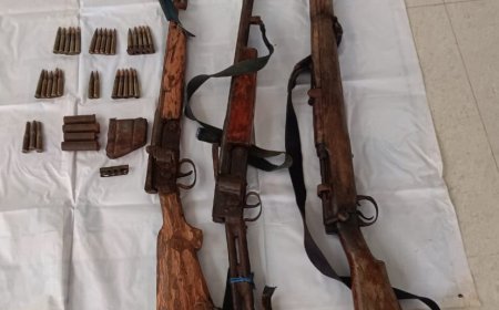 नारायणपुर: पुलिस और बीएसएफ की संयुक्त कार्रवाई में कच्चापाल के जंगल से नक्सलियों का हथियार डंप बरामद, .303 और .315 रायफल समेत भारी मात्रा में कारतूस जब्त