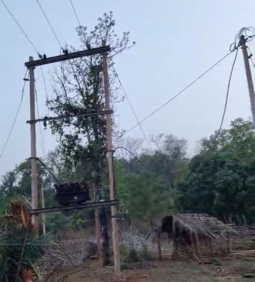 नियद नेल्लानार योजना से मोहन्दी-मसपुर के घरों में दशकों बाद जली बिजली, वनांचल के गांवों में खुशी की लहर