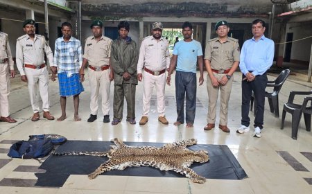 धौड़ाई में वन विभाग की बड़ी कार्रवाई: तेंदुए की खाल के साथ 3 आरोपी गिरफ्तार, दोनों मोटरसाइकिलें भी जब्त