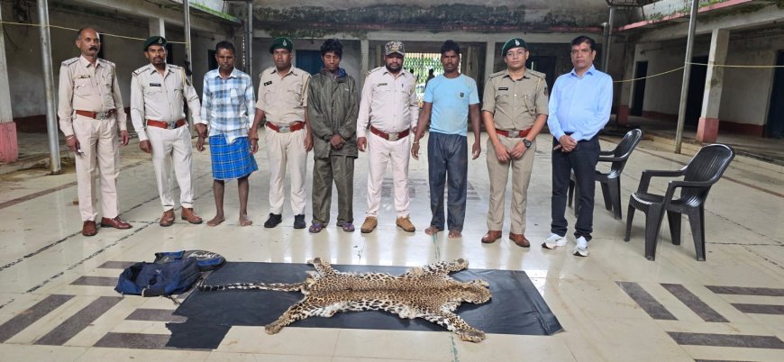 धौड़ाई में वन विभाग की बड़ी कार्रवाई: तेंदुए की खाल के साथ 3 आरोपी गिरफ्तार, दोनों मोटरसाइकिलें भी जब्त