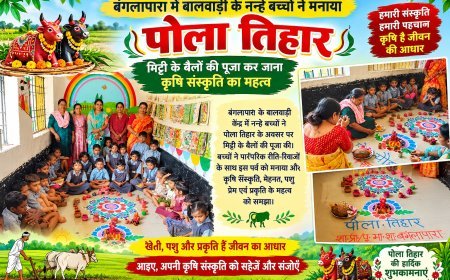 बंगलापारा में बालवाड़ी के नन्हे बच्चों ने मनाया पोला तिहार, मिट्टी के बैलों की पूजा कर जाना कृषि संस्कृति का महत्व