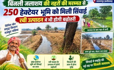 बिंजली जलाशय की नहरों की मरम्मत से 250 हेक्टेयर भूमि को मिली सिंचाई, रबी उत्पादन में भी होगी बढ़ोतरी